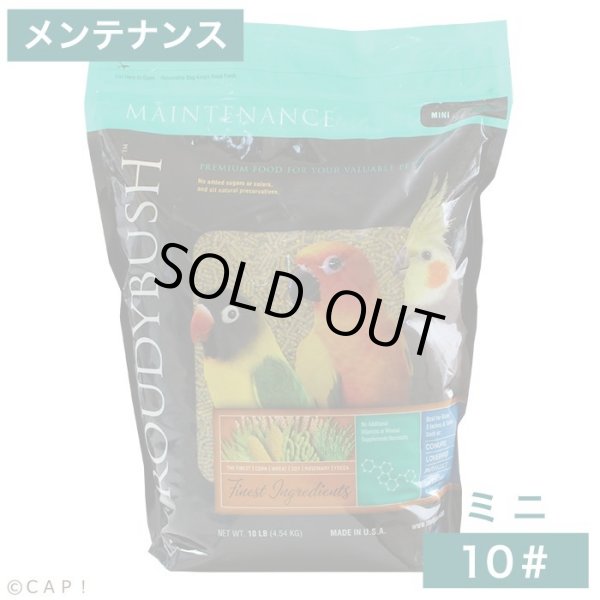 画像1: ラウディブッシュ メンテナンス　ミニ　(4.54kg) (1)