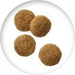 画像2: JPスタイル 和の究み 小粒 グレインフリー フィッシュ味 1歳から 1.5kg (2)