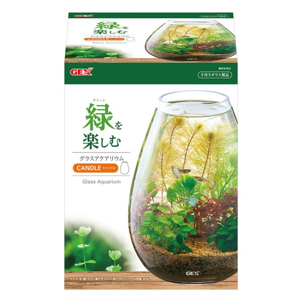 画像1: ジェックス GEX AQUARIUM グラスアクア キャンドル 水草 多肉植物 コケリウム テラリウム ガラス製 約4L (1)