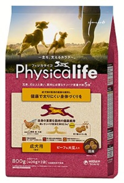 画像1: Physicalife 成犬用 ビーフ＆大豆入り 800g (1)